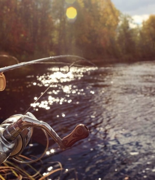 8a929964e117feeb53d6de7626bf2bb3