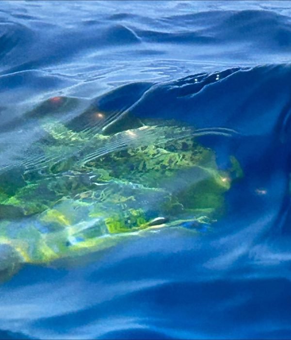 processed-1B7A5F5A-73E3-4D3F-89C6-1BCC1DC256B0-min