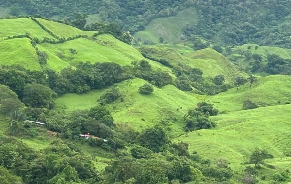 processed-285005C2-D84F-4233-9271-95ADC090CABA-min