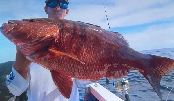 processed-9E306B44-52A4-4BB7-A28F-4E7AB37C64BA-min